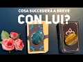 Download Lagu COSA SUCCEDERA' A BREVE CON LUI? #tarocchi #tarocchiinterattivioggi #tarocchiamore #tarocchioggi