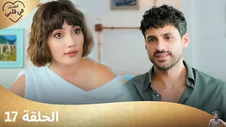 مسلسل أخفيتك فى قلبي الحلقة 17 مراجعة 