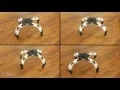 Interactive Design of 3D Printable Robotic Creatures