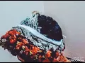 اغنيه ميحمد حمد رعالله صاحبن قدله زماني