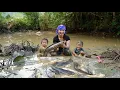 Download Lagu how to catch giant pond fish on hot summer days to sell - cook porridge for little daughter to eat