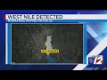 West Nile Virus detected in East Providence
