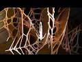 Dun Dun (Anyma & PACS Remix) - Cassian [Unreleased]