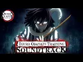 Download Lagu Iguro Obanai's Training OST [Official Demon Slayer OST] (鬼滅の刃) - Hashira Training Arc