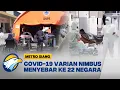 Download Lagu Varian Nimbus COVID-19 Menyebar di 22 Negara, WHO Waspada! [Metro Siang]