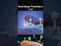 Bacteriophage T4 attacking on E coli