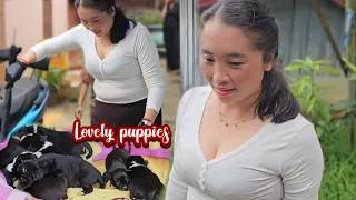 Mom's dog has a significant number of puppies. 