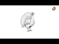 Turkey coloring pages