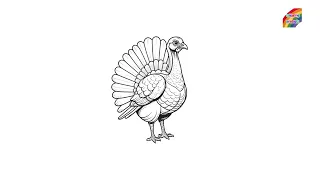 Turkey coloring pages