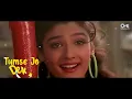 Tumse Jo Dekhte Hi Pyar Hua Zindagi Mein Pehli Baar Hua - Salman K, Raveena T | Patthar Ke Phool