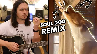 Download Soul Dog x The Kiffness - For Sam (Soulful Singing Dog Remix) MP3