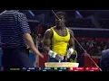 2024 Big10 Men s Gymnastics Championships Recap