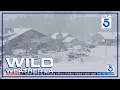 Snow hits SoCal mountain towns creates dangerous driving conditions on Grapevine