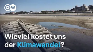 Klimawandel: Lassen sich Ökonomie und Okologie versöhnen?