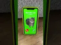 Download Lagu OIIAOIIA CAT is calling NiKPIG