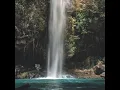 Life Force Energy