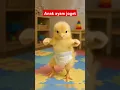 Lagu anak ayam joget pakai pempers #anakayamlucu #anakayam #anakayampelangi #anakayamwarna #trending #fyp
