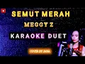 Download Lagu SEMUT MERAH - KARAOKE DUET TANPA VOKAL ( MEGGY Z ) COVER: JANA