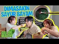 Download Lagu DIMASAKIN \u0026 DIPAKSA MAKAN SAYUR BAYAM SAMA KAYESS🤢 - CELI GO HEALTHY