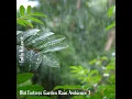 Old Fortress Garden Rain Ambience, Pt. 8