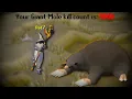I Spent A Week At The Giant Mole