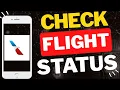 How to Check Flight Status on American Airlines App