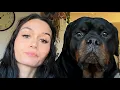 This 130lb Rottweiler REFUSES to Let Her Out of His Sight She Finally Understood Why at 3AM