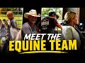 Meet Our Equine Department