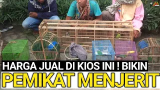 Download PEMIKAT BURUNG MENJERIT LIAT HARGA JUAL DI KIOS KECIL INI ! MP3