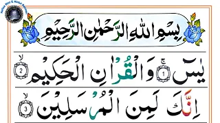 036 surah yaseen full surah yasin recitation with hd arabic text surah yaseen pani patti voice