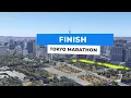 Tokyo marathon 2024 - Course Map 3D