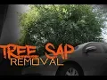 Car is plastered with Tree Sap - How to remove tree sap safely