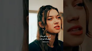 فريد يضرب سيران طائر الرفراف Yalicapkini Seyfer  فريد يضرب سيران طائر الرفراف Yalicapkini Seyfer
