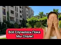 Download Lagu Шок! Она Просто Вышла в Окно! У Русского Медведя Испанский Паспорт в Непальской Обложке!