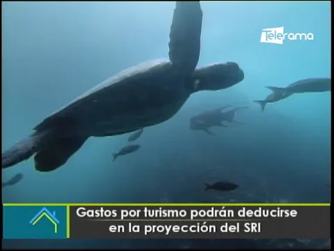 Gastos por turismo podrán deducirse en la proyección del SRI