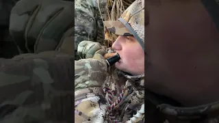 Best Duck Caller In The Land 
