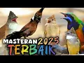 Download Lagu MASTERAN MEM@TIKAN KOMBINASI INI PALING DI TAKUTI LAWAN || terbaru 2025