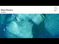 Nicky Romero - Duality