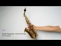 Download Lagu Kaulah Segalanya - Ruth Sahanaya || Saxophone Cover by Kizi Rusyadi