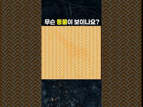 특별한 눈을 가졌다면 무슨 동물인지 바로 보입니다.