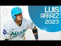 PLAY THE HITS Luis Arraez Full 2023 Highlights