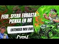 Feid, Sfera Ebbasta - PIENXA EN MI (EXTENDED MIX DVK)