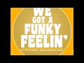 Download Lagu Stephane Deschezeaux - We Got A Funky Feelin (Original Mix)
