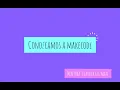 Interface de Makecode