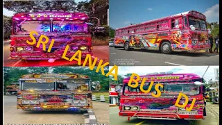 sri lankan bus tiktok