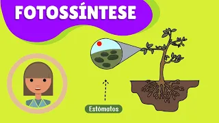 Fotossíntese: Como as Plantas Transformam a Luz Solar em Alimento ☘️Mundo Vegetal☘️#AulaDeCiências