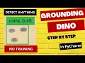 Grounding DINO Detect Anything No Training Zero Shot Object Detection