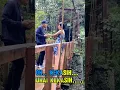 Download Lagu burung merpati ost.misteri ilahi #halisaamalia #ostgentabuana #bollywoodsongs #rayyansyahid