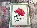 Bordered Sentiment Tutorial