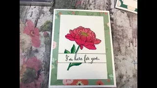 Bordered Sentiment Tutorial